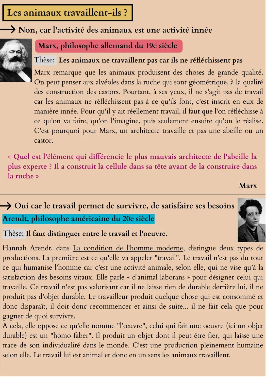 Le travail
Définitions importantes :
Travail : Ensemble des activités effectuées par l'homme pour
satisfaire ses besoins et transformer la r