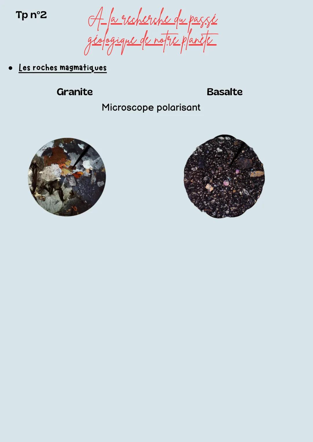 Tp n°1
-Plantes sauvages-plantes
domestiquées.
• Mise en évidence de la structure racinaire :
Jeune pousse
Μ.Ο.
x400
Racines dotés de p