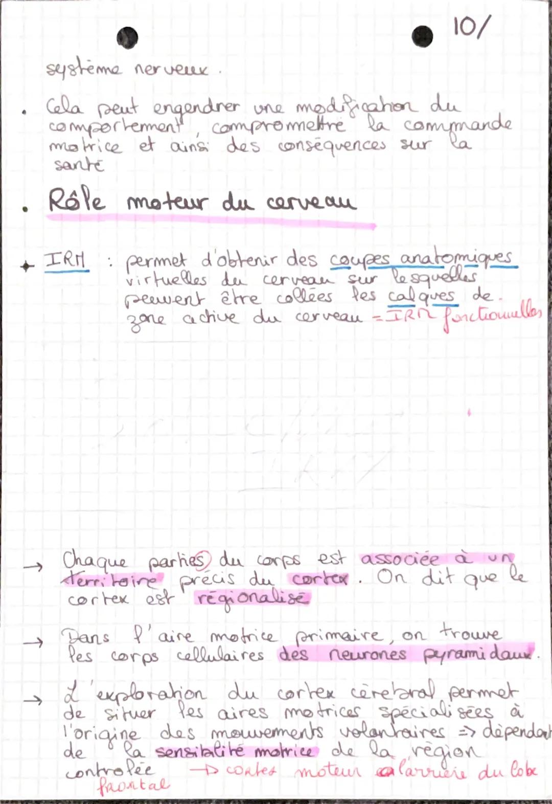 # mouvemer et système mereux
← 2 types de movements: - volontaire
- involontaire
* Réflexe
→refferes myotatiques : la contraction du mu