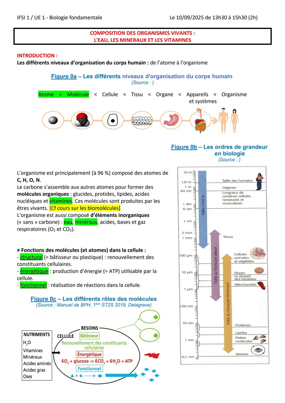 IFSI 1/UE 1 - Biologie fondamentale
Le 10/09/2025 de 13h30 à 15h30 (2h)
COMPOSITION DES ORGANISMES VIVANTS:
L'EAU, LES MINERAUX ET LES VITA
