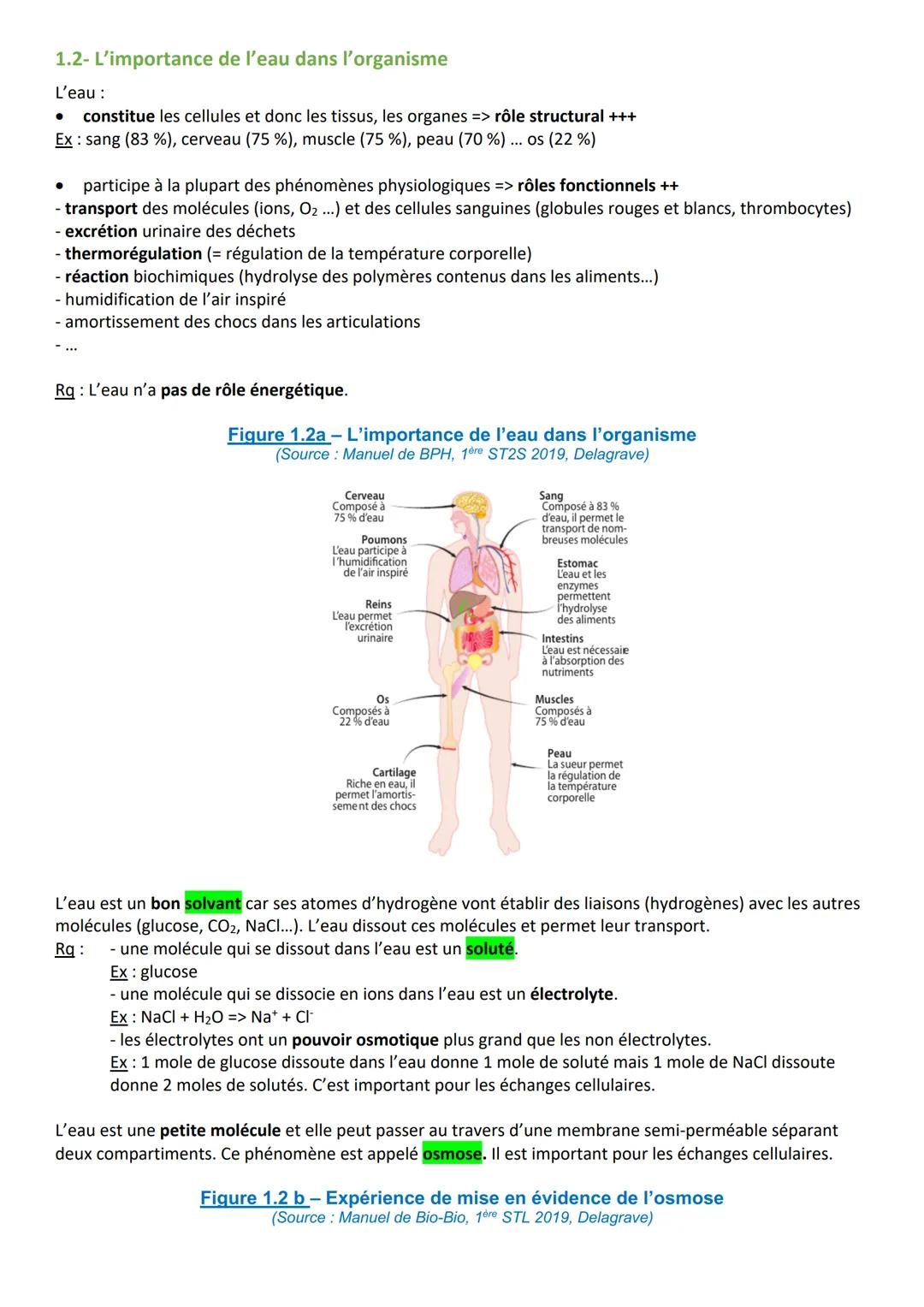 IFSI 1/UE 1 - Biologie fondamentale
Le 10/09/2025 de 13h30 à 15h30 (2h)
COMPOSITION DES ORGANISMES VIVANTS:
L'EAU, LES MINERAUX ET LES VITA