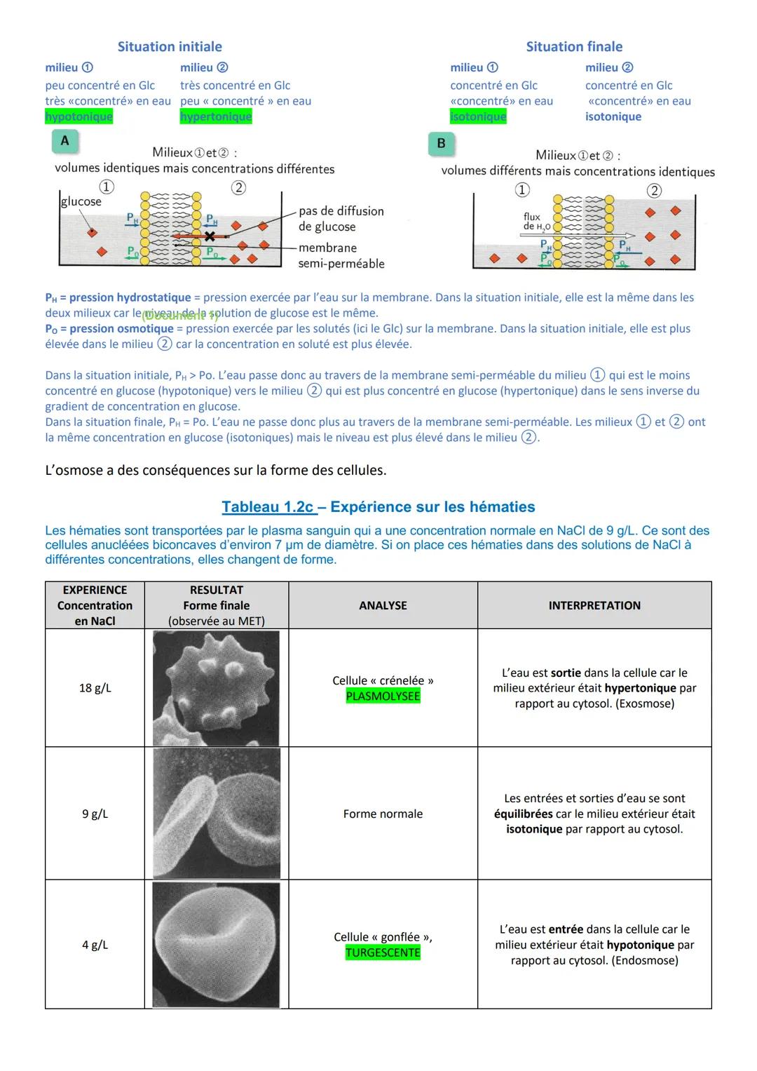IFSI 1/UE 1 - Biologie fondamentale
Le 10/09/2025 de 13h30 à 15h30 (2h)
COMPOSITION DES ORGANISMES VIVANTS:
L'EAU, LES MINERAUX ET LES VITA