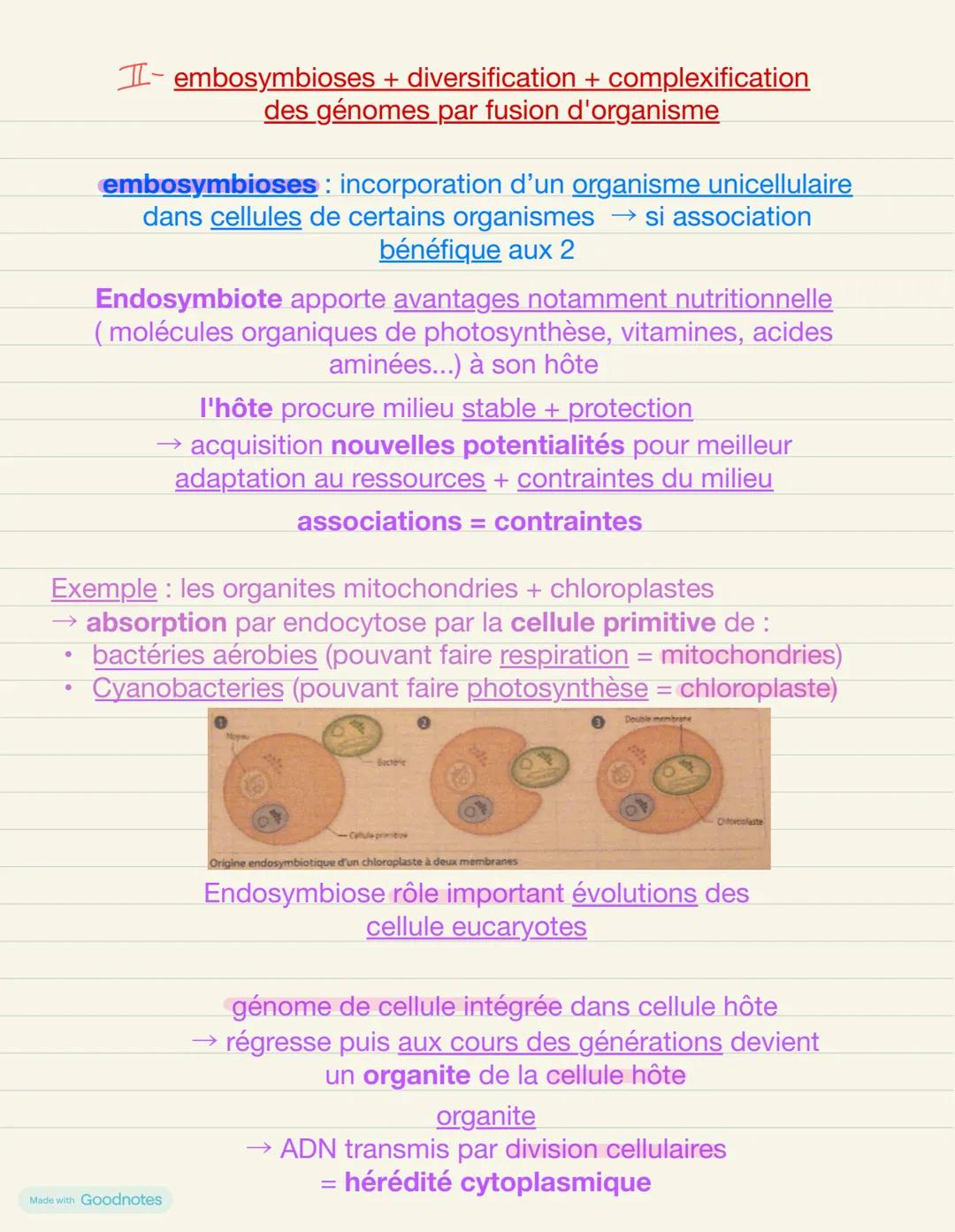 # chapitre 2: La complexification des génomes
transferts horizontaux et endosymbioses
mutations + modifications accidentelles des génomes