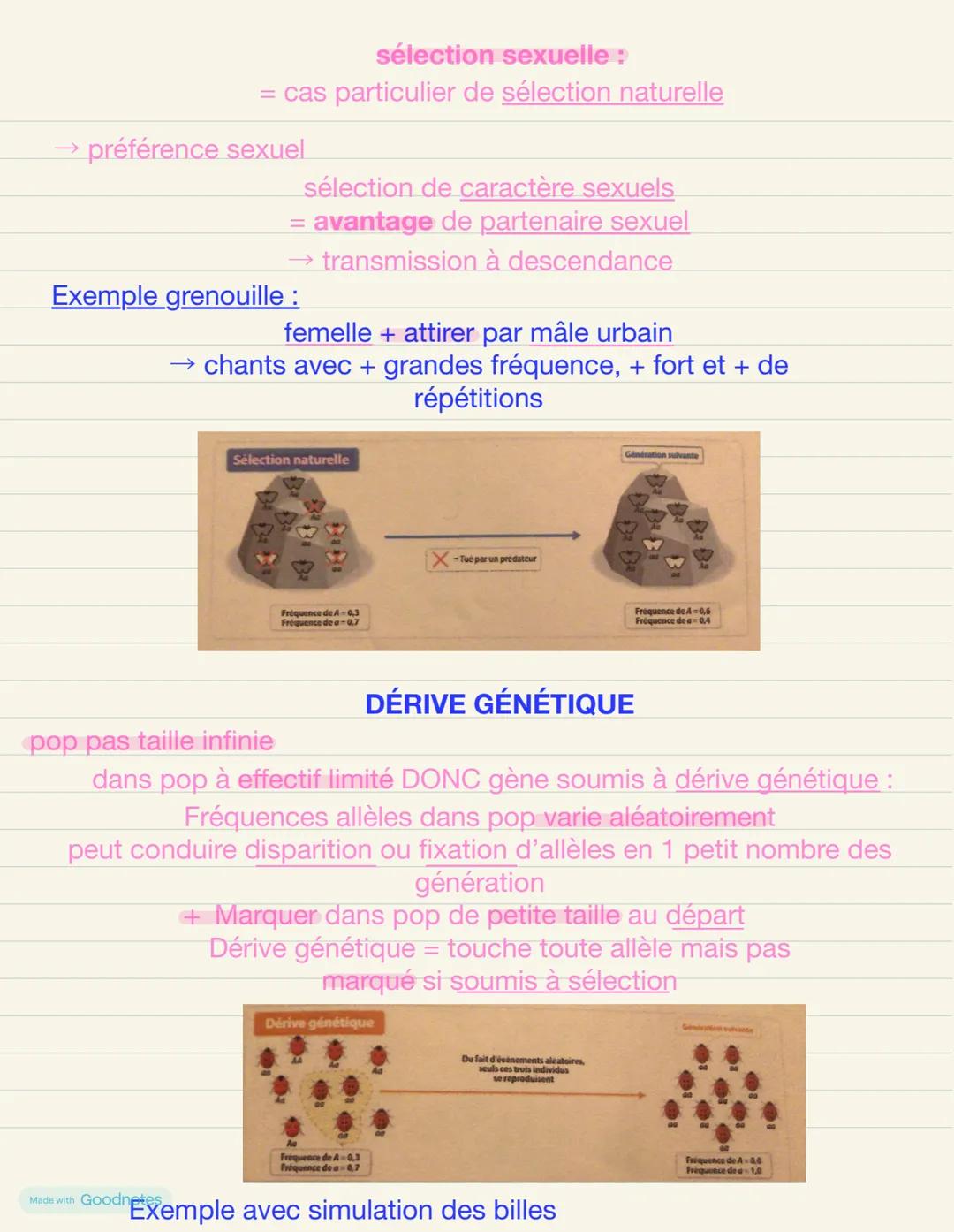 # chapitre 3: l'inéluctable évolution des génomes au sein des
populations
toutes espèces → informations génétique contenus dans génome
qui