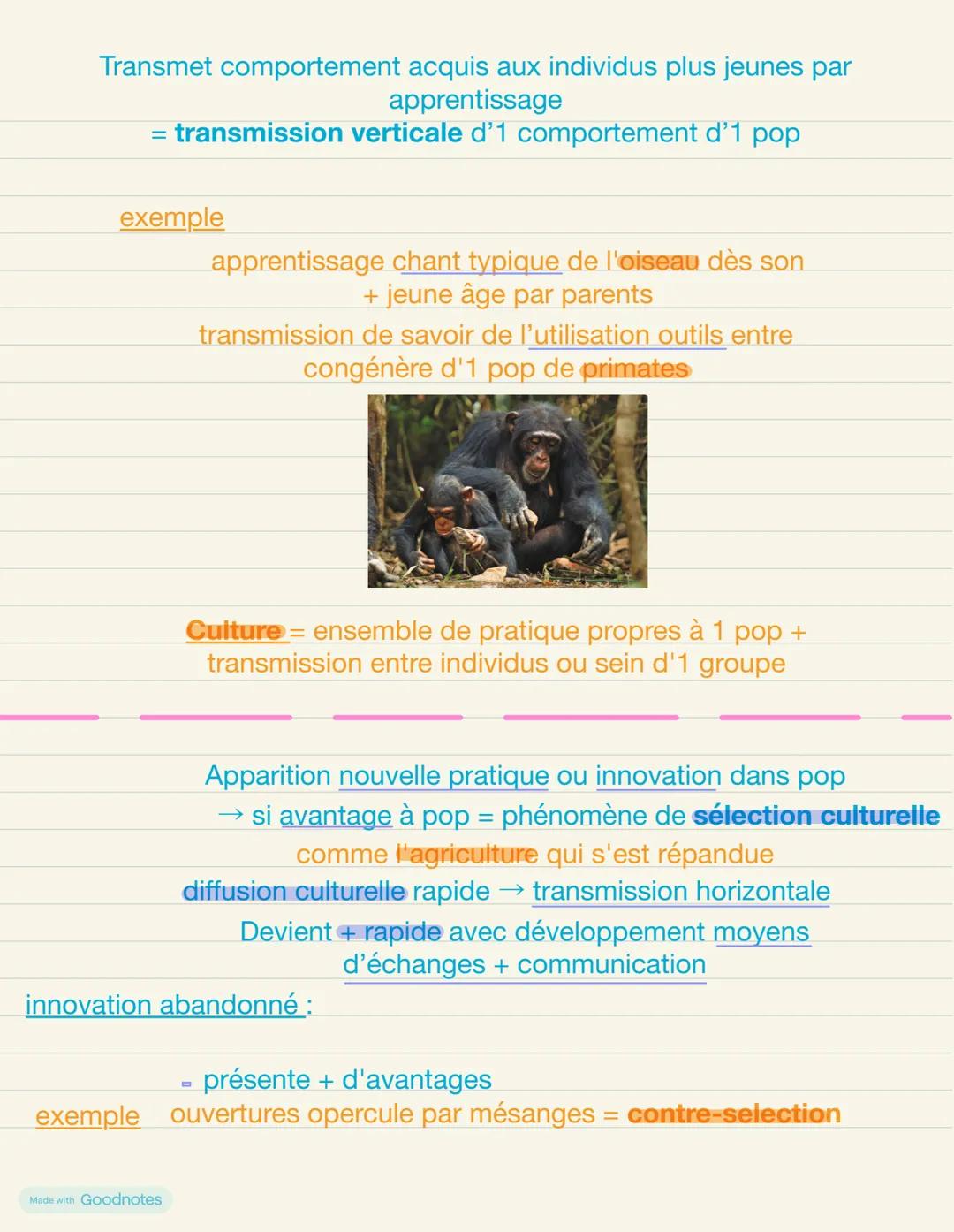 # Chapitre 4: d'autres mécanismes contribuent à la
diversité du vivant
brassage génétique méiose + fécondation
+
Mutations, transferts hori