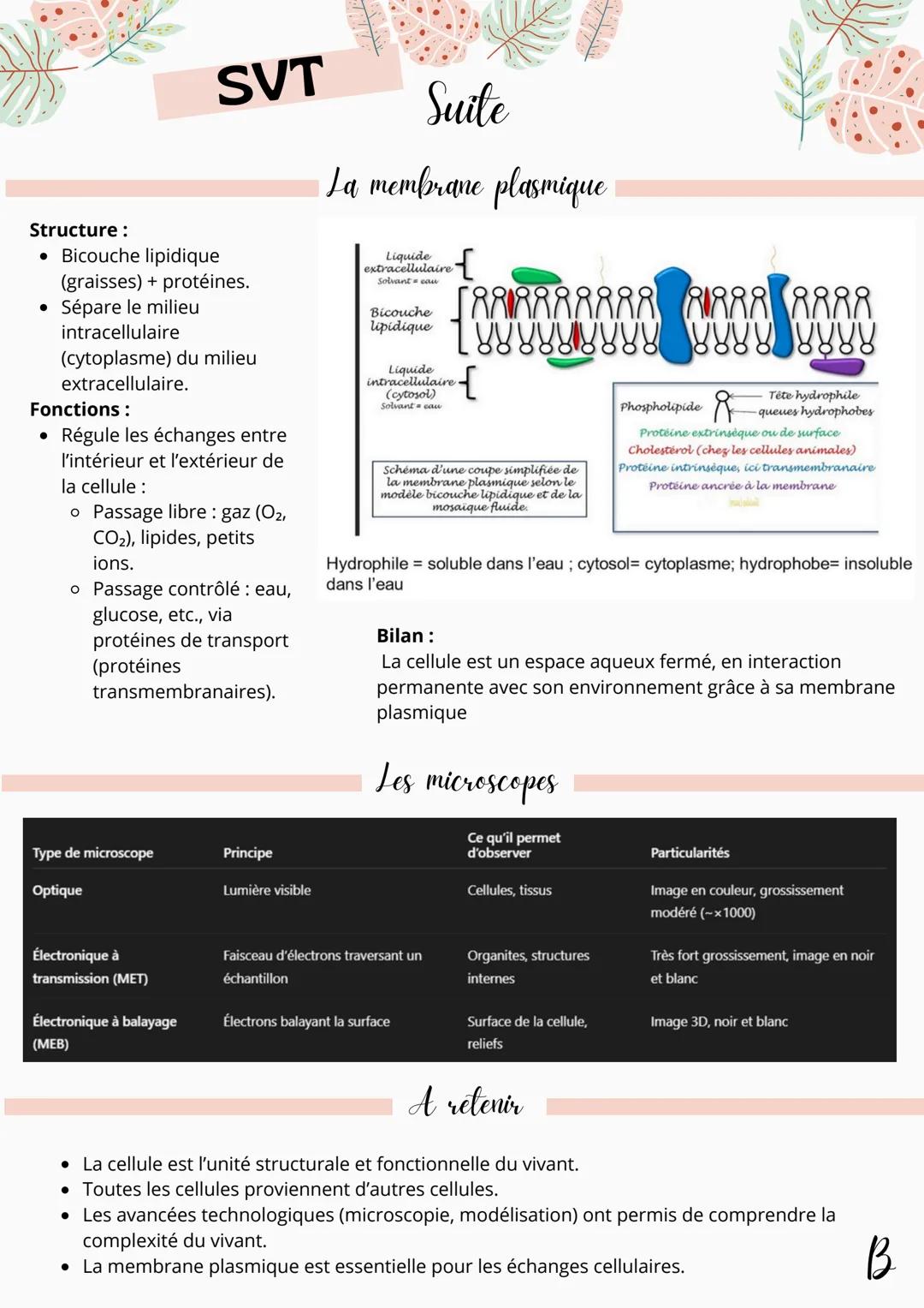 # SVT
La cellule une structure
complexe
La théorie cellulaire
Définition: Ensemble de 3 affirmations fondatrices :
1. La cellule (membra