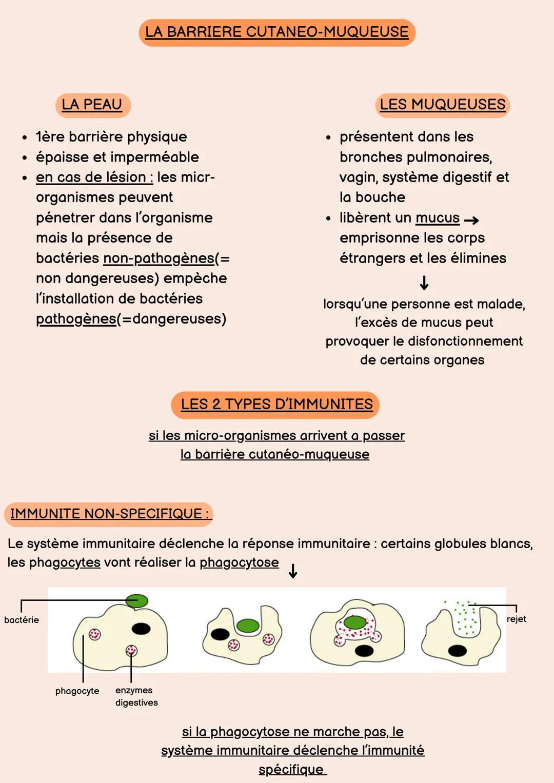 PSE Term.
# La santé au travail
Le suivi de la santé au travail est une obligation légale, c'est inscrit dans le
code du travail.
Tous tr