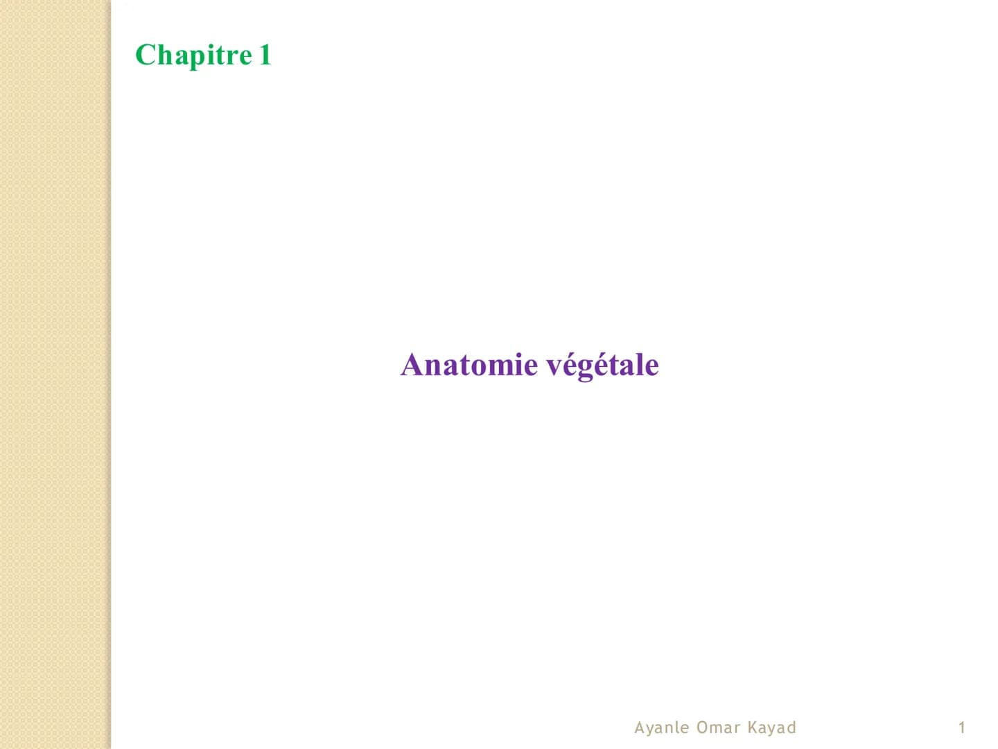 # Chapitre 1
Anatomie végétale
Ayanle Omar Kayad
1 # I- Les spécificités de la cellule végétale
* Les végétaux se caractérisent des aut