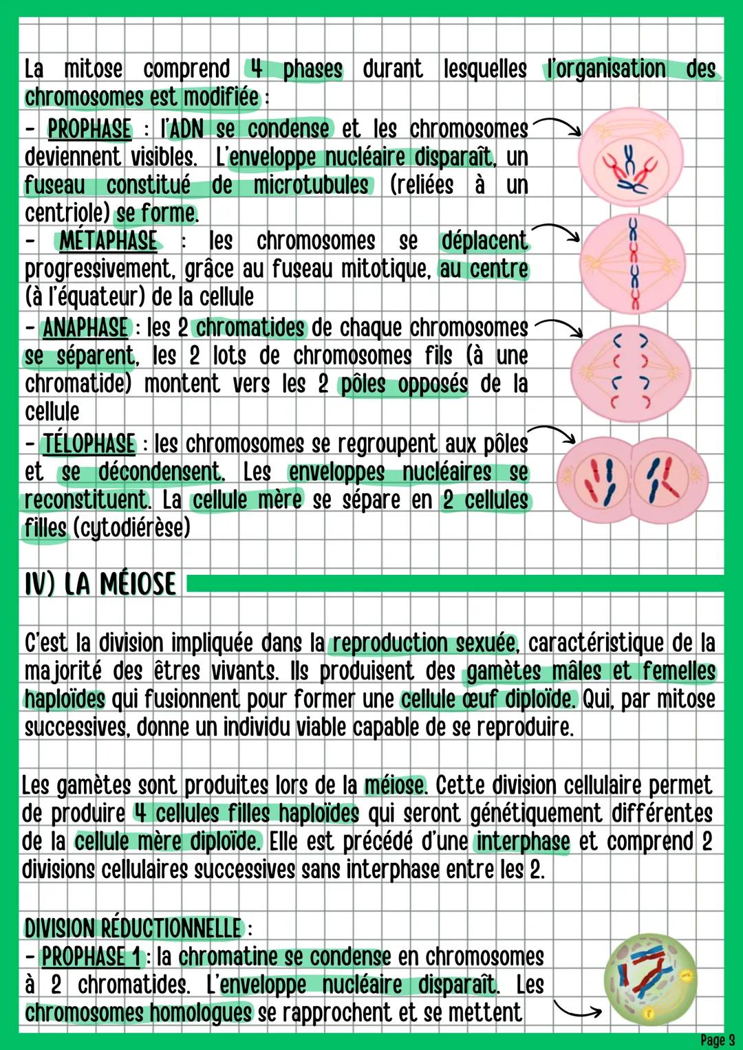 # La reproduction des êtres vivants
dans leur environnement
BIOLOGIE CHAPITRE 3
1) INTRODUCTION
Pour perpétuer leur descendance, les êtres