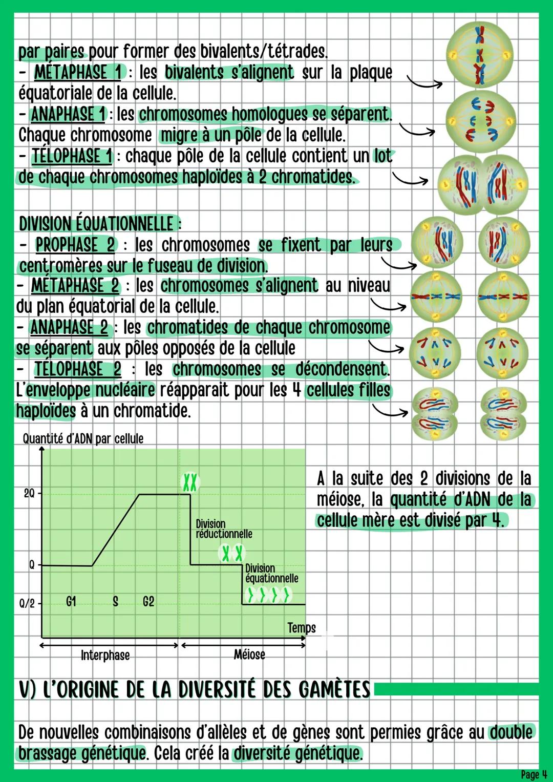 # La reproduction des êtres vivants
dans leur environnement
BIOLOGIE CHAPITRE 3
1) INTRODUCTION
Pour perpétuer leur descendance, les êtres