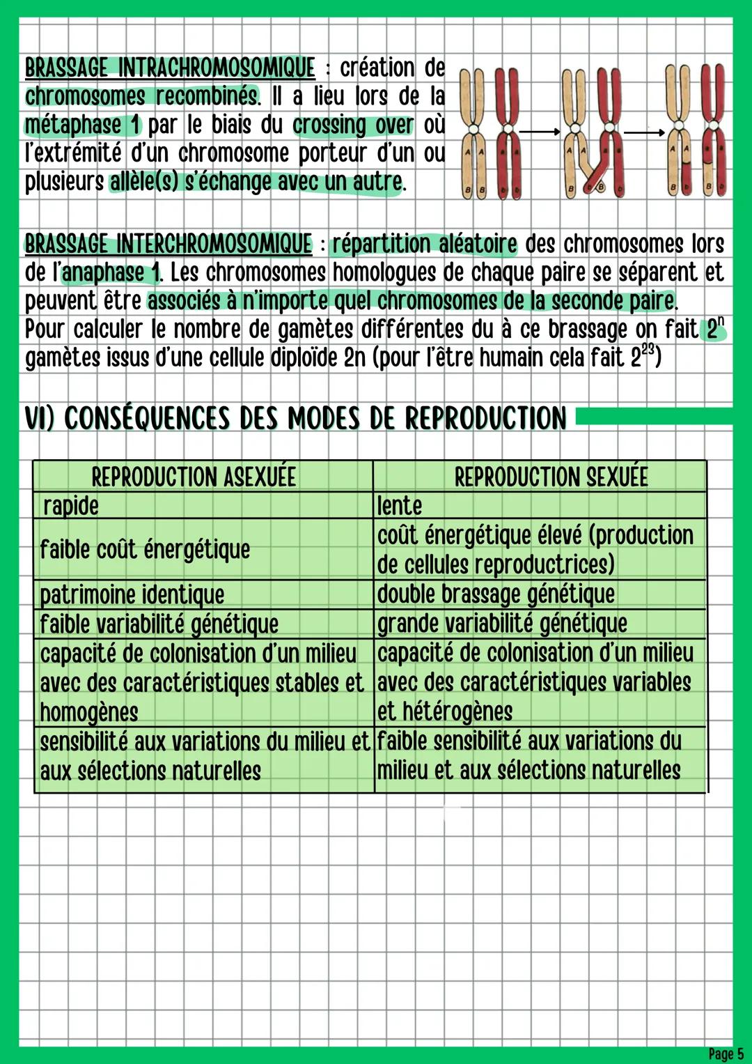 # La reproduction des êtres vivants
dans leur environnement
BIOLOGIE CHAPITRE 3
1) INTRODUCTION
Pour perpétuer leur descendance, les êtres
