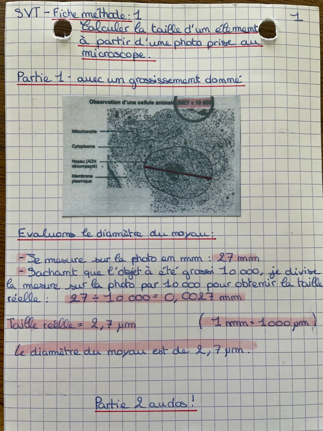 # SVT - Fiche methode: 1
1
Calculer la taille d'um element
à partir d'ume photo prise au
microscope.
## Partie 1 - auec um grossissement do