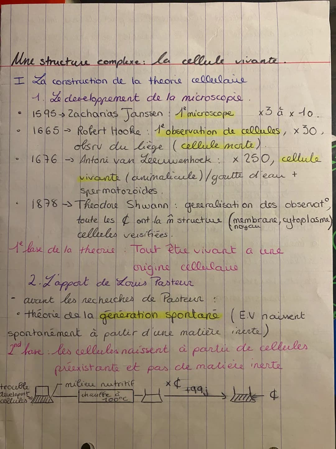 ### 3 La théorie cellulaire d'un point de vue moderne.
- théorie moderne: Les E.V. actuels ont pour origine
une cellule ancestrale commune
