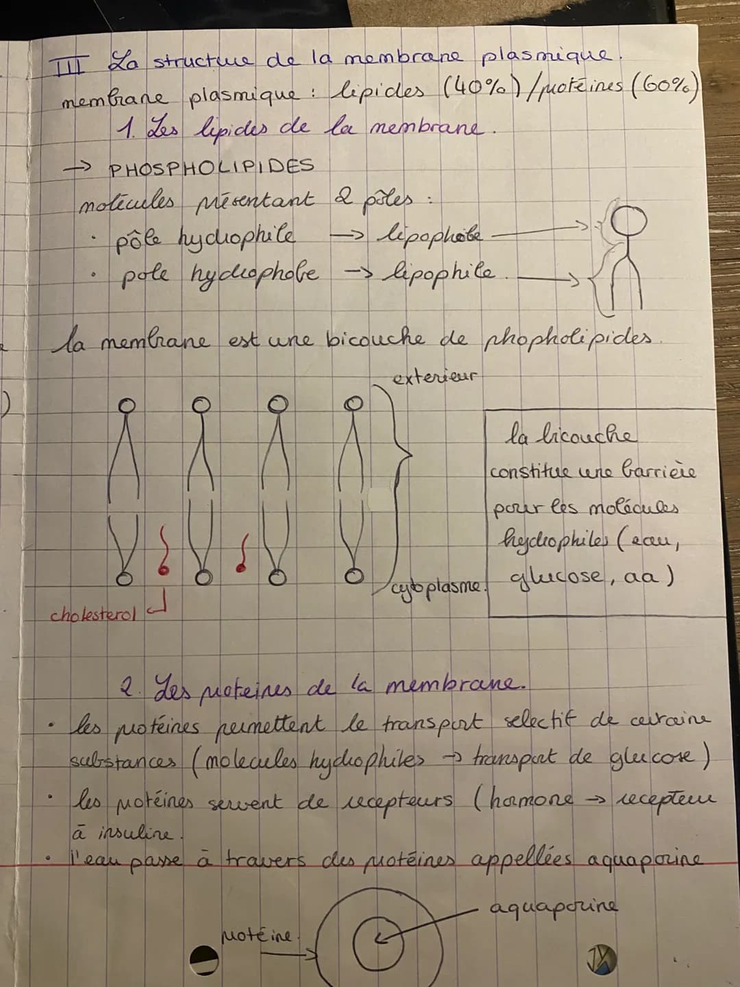 ### 3 La théorie cellulaire d'un point de vue moderne.
- théorie moderne: Les E.V. actuels ont pour origine
une cellule ancestrale commune