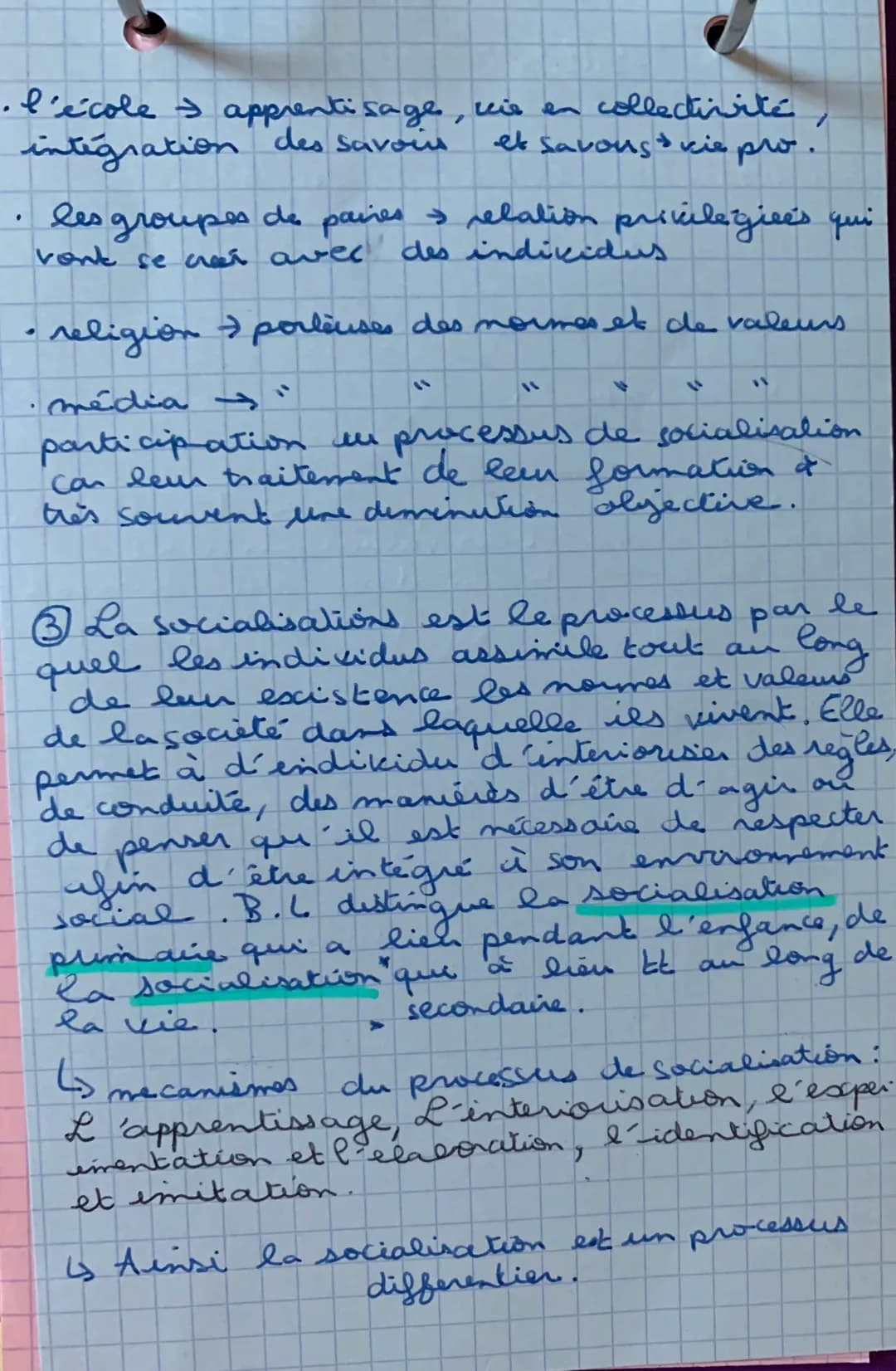 - l'école -> apprentissage, vie en collectivité,
intégration des savoirs et savoirs vie pro.
- Les groupes de pairs -> relation privilégié