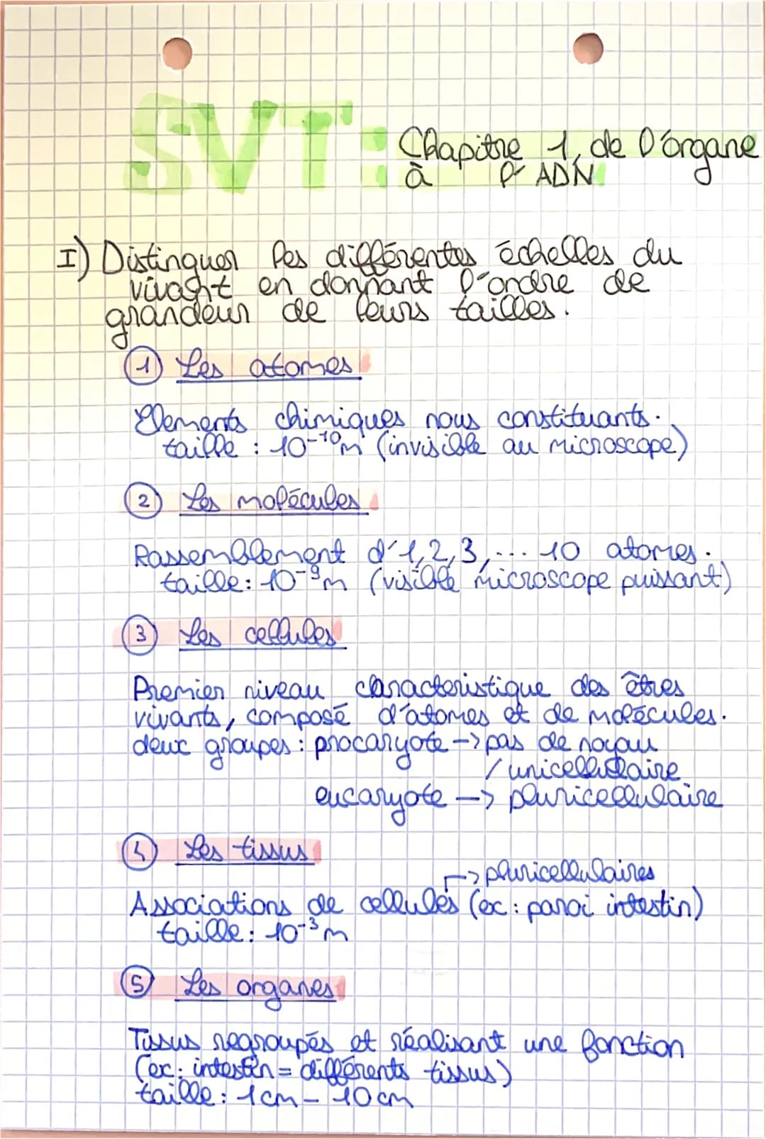 6. Les appareils
Organes regroupés et coordonné (ex: systeme digestif).
taille 10cm-1m
7. L'organisme
Tout les appareils d'un individus.
tai
