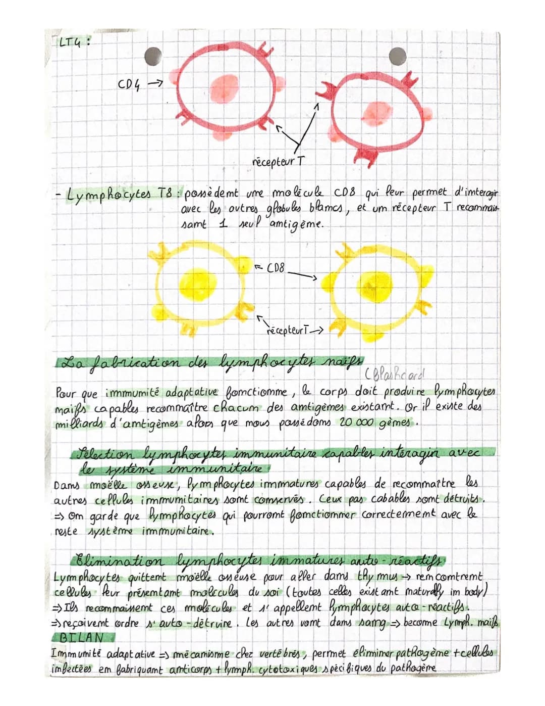# THEME 3
## Chapitre 2: L'immunité acquise
### Intro
L'immumité adaptative: emsemble de mécamisme imtervemamt de quel-
ques heures à jours