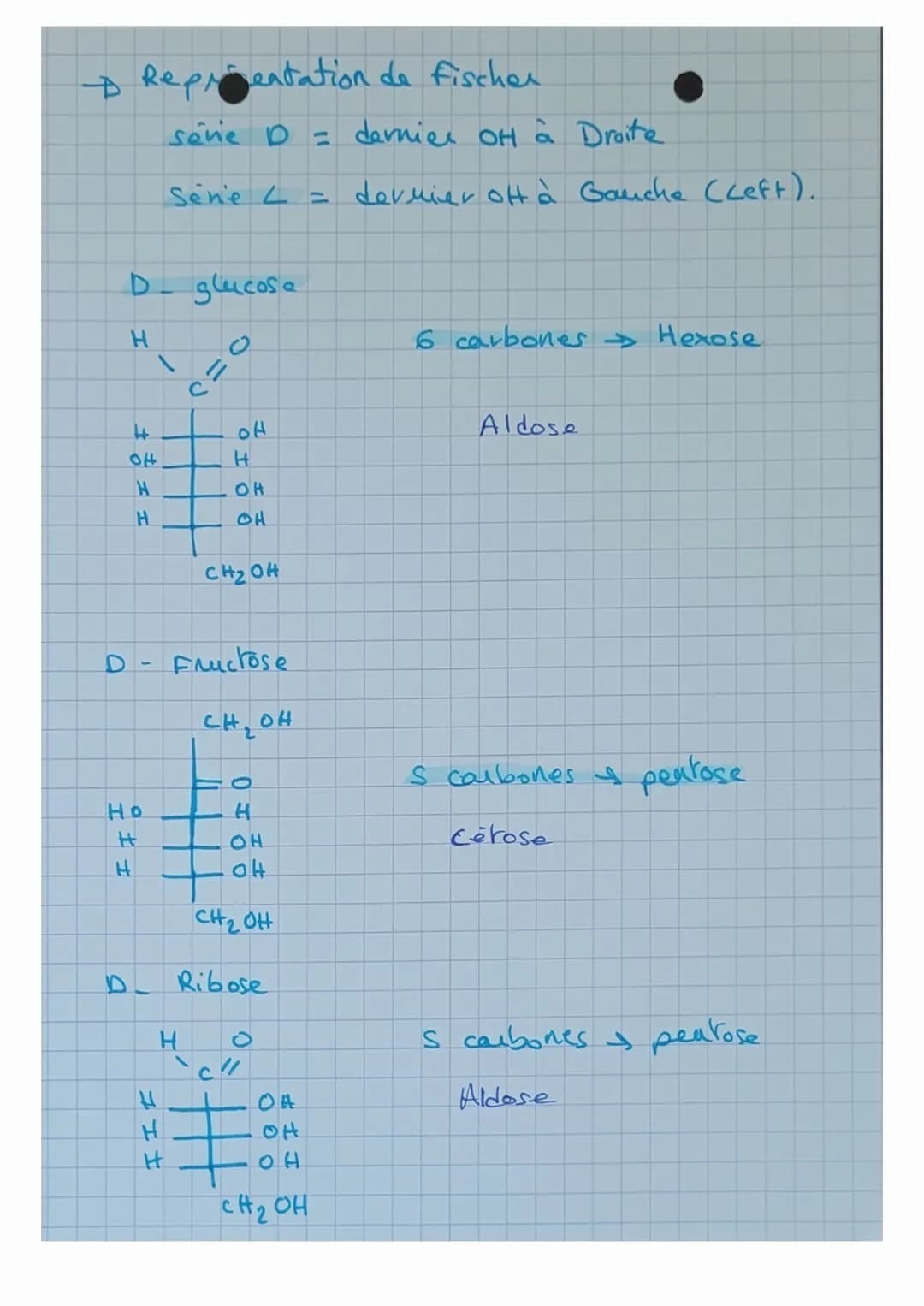 Biochimie
# Les Glucides
OSES monomère
- composés d'atomes de:
- Carbones
- Hydrogènes
- Oxygènes
- Formule générale: $C_n H_{2n} O_n