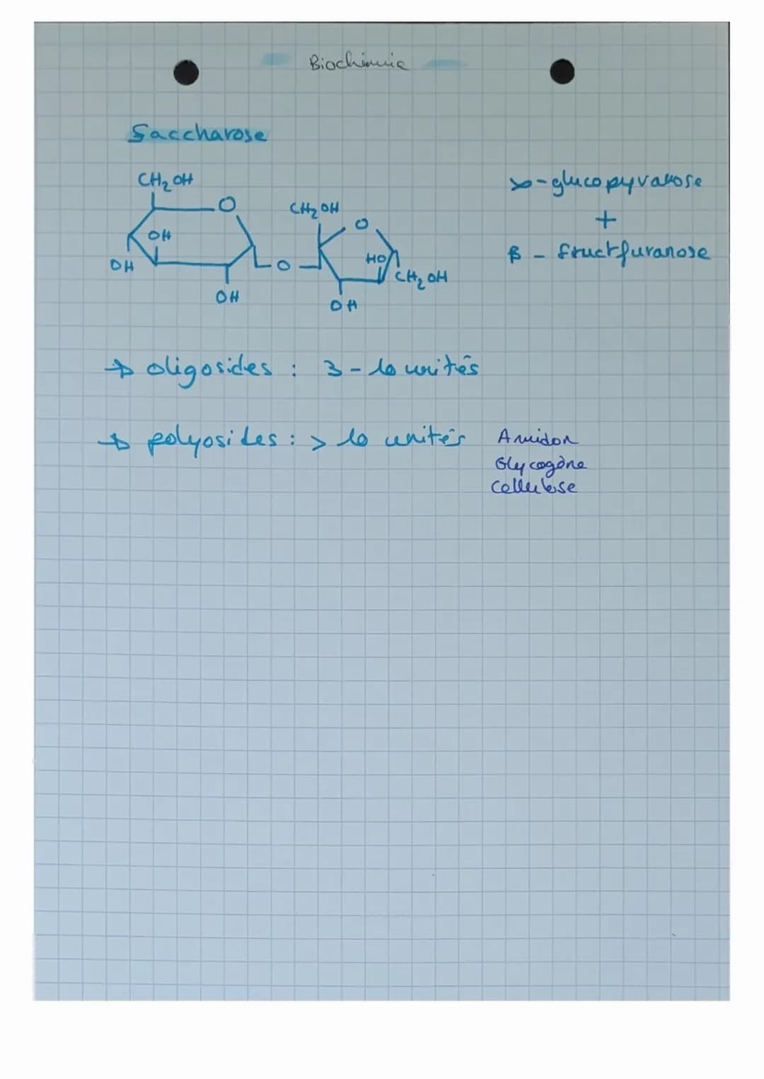 Biochimie
# Les Glucides
OSES monomère
- composés d'atomes de:
- Carbones
- Hydrogènes
- Oxygènes
- Formule générale: $C_n H_{2n} O_n