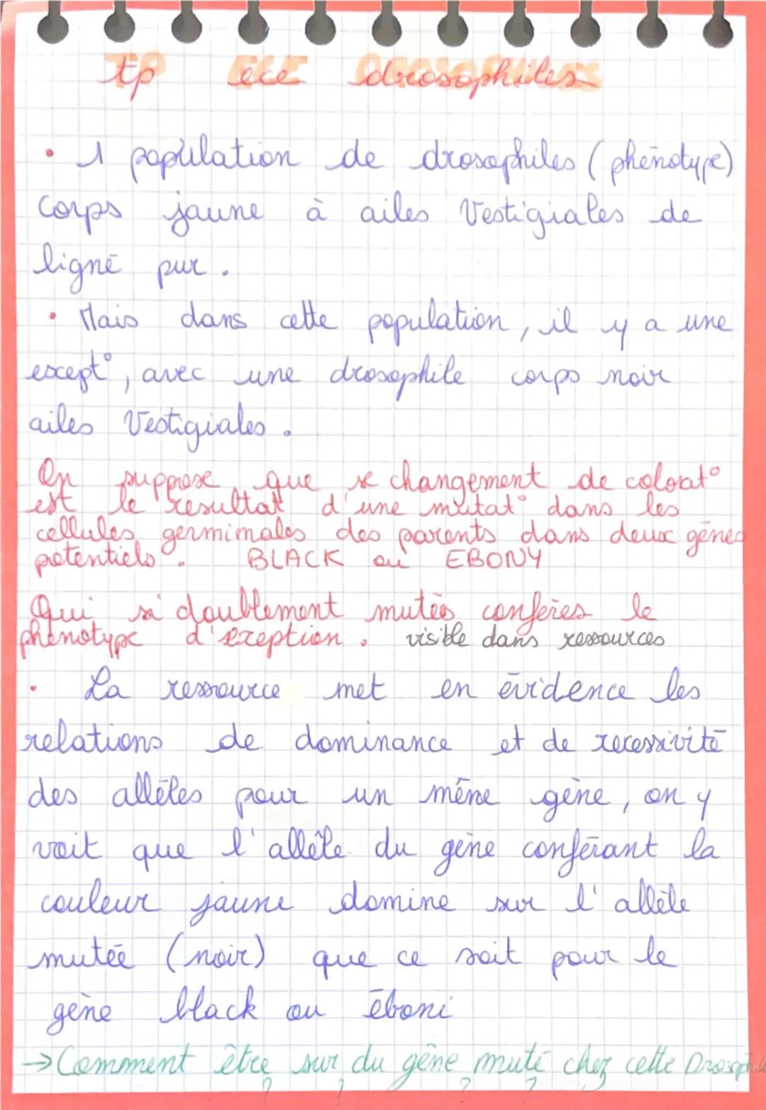 # TP Génétique drosophiles
- 1 population de drosophiles (phénotype) corps jaune à ailes vestigiales de ligné pur.
- Mais dans cette popula