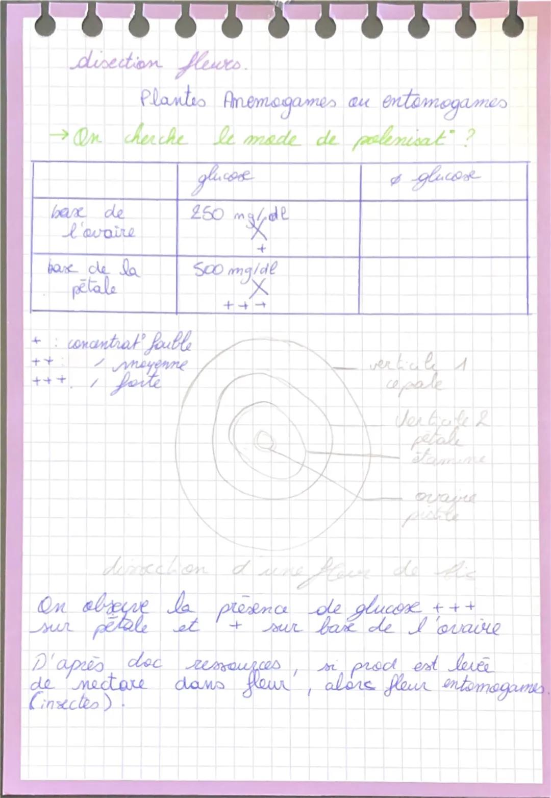 # TP Génétique drosophiles
- 1 population de drosophiles (phénotype) corps jaune à ailes vestigiales de ligné pur.
- Mais dans cette popula