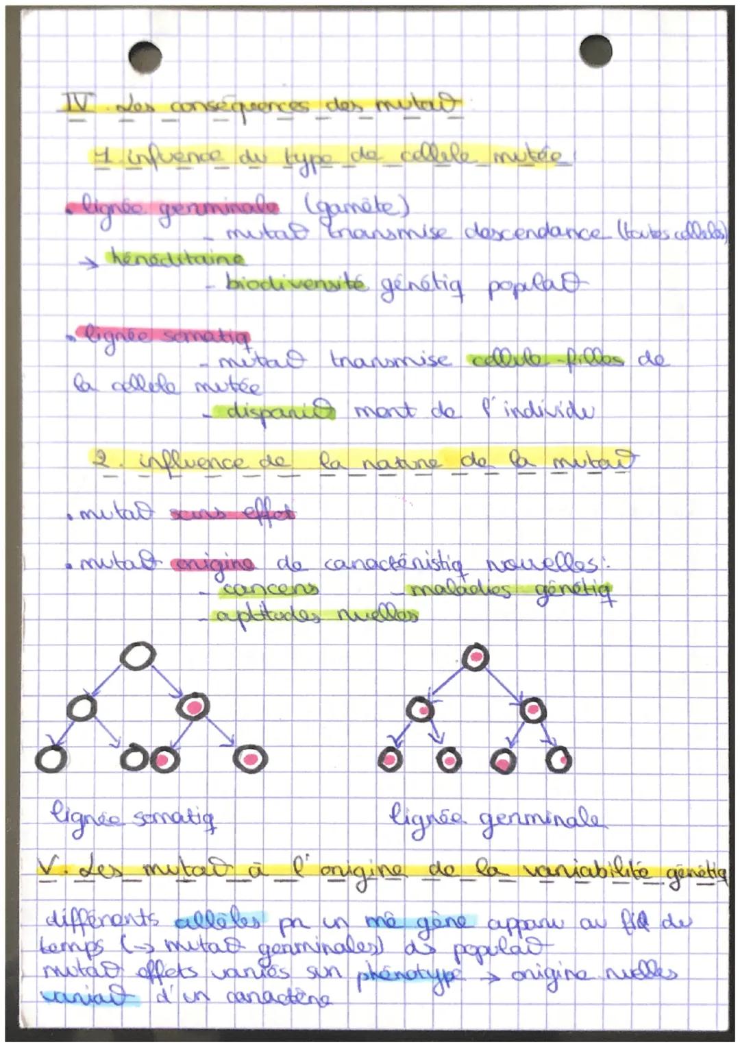 # chap 30 Mutad ADN + vaniabilit e
genétiq:
I. Des modifica vanices de l'informar genétiqi
informat genétig cellules $\rightarrow$ genes -