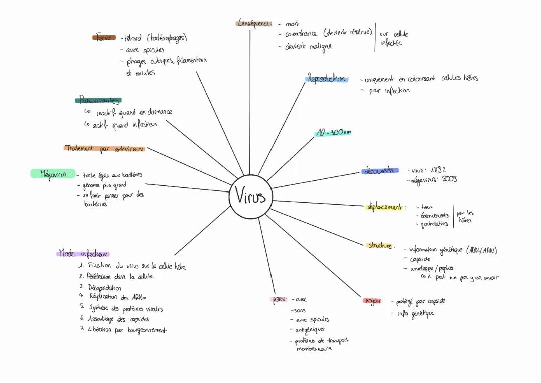 les virus