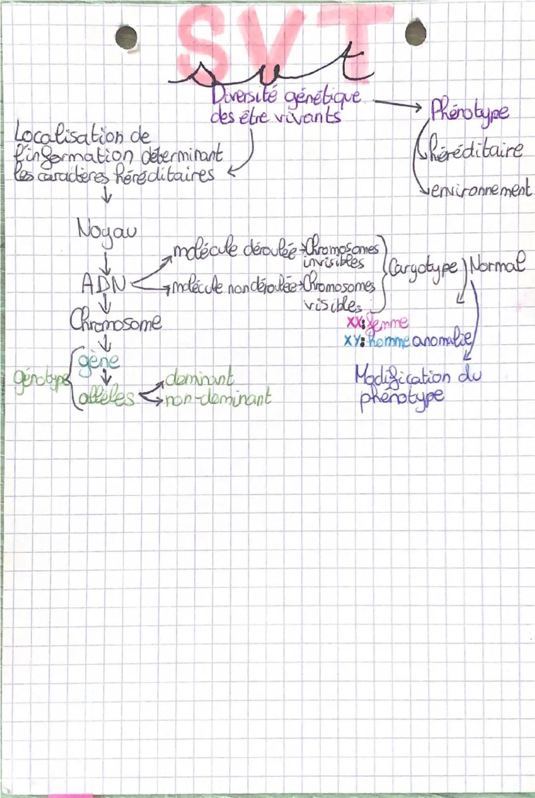 --- OCR Start ---
Diversité génétique
des être vivants
Localisation de
finformation determinant
les caracteres héréditaires
↓
Noyau molécule
