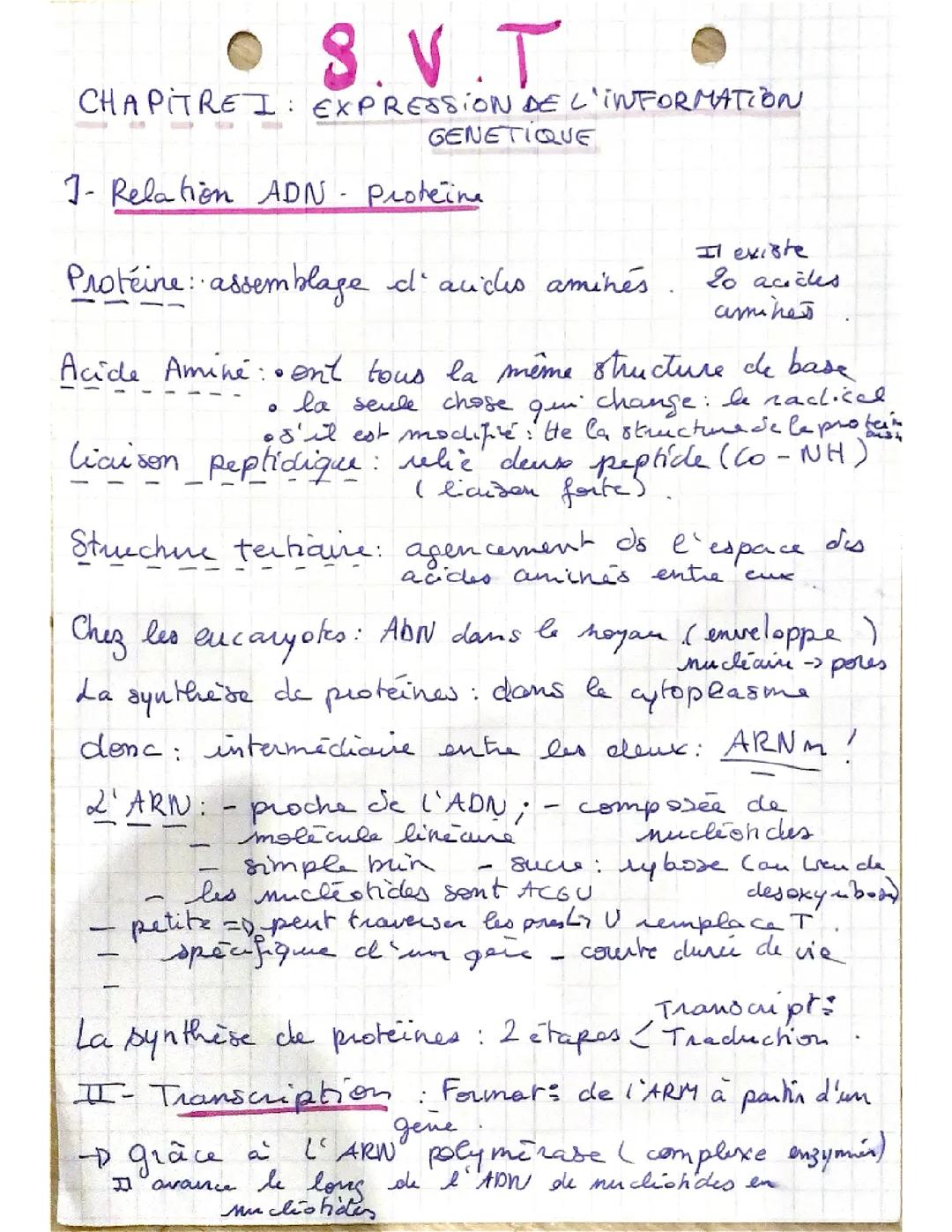 Expression de l’information génétique