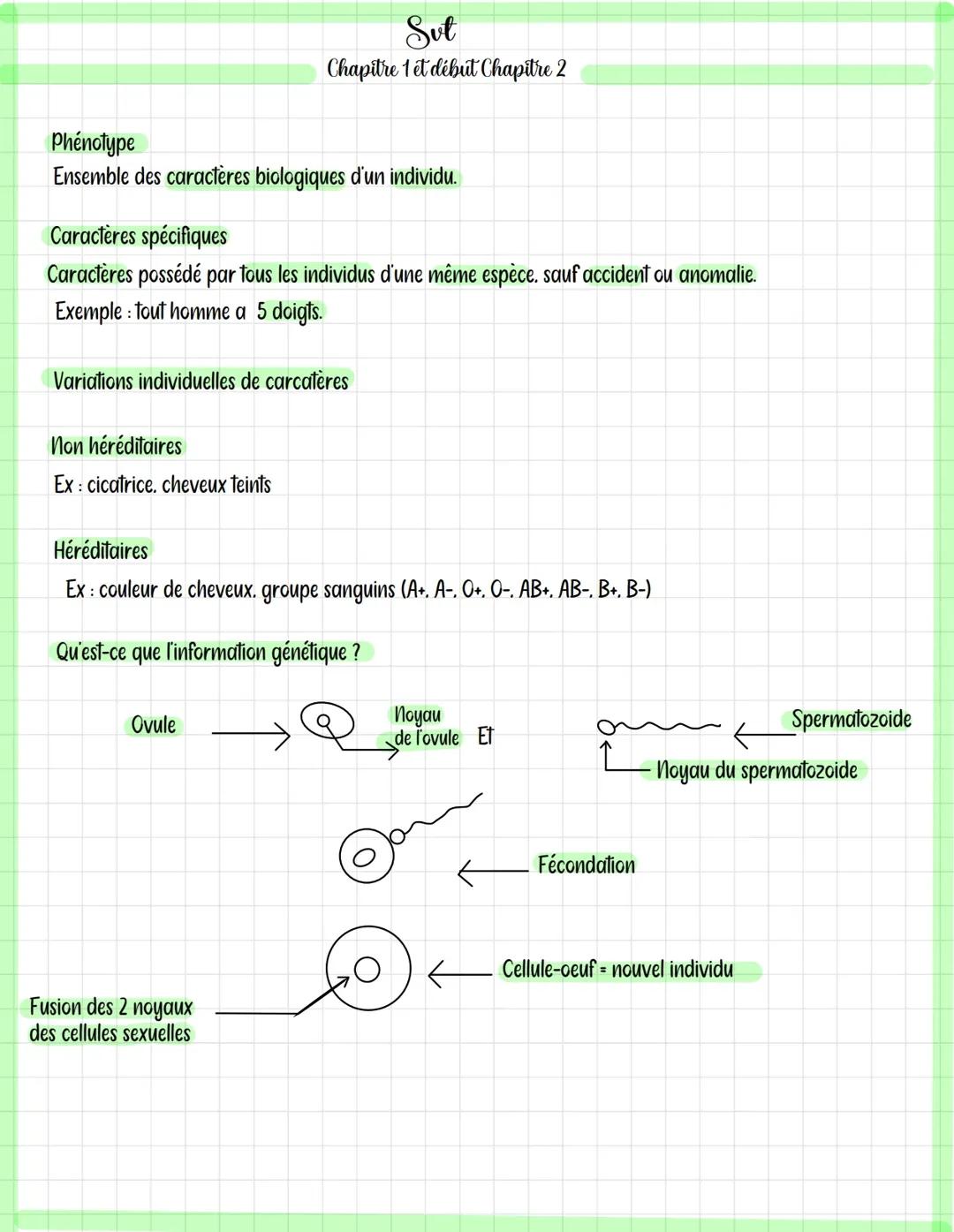 Phénotype / Génotype