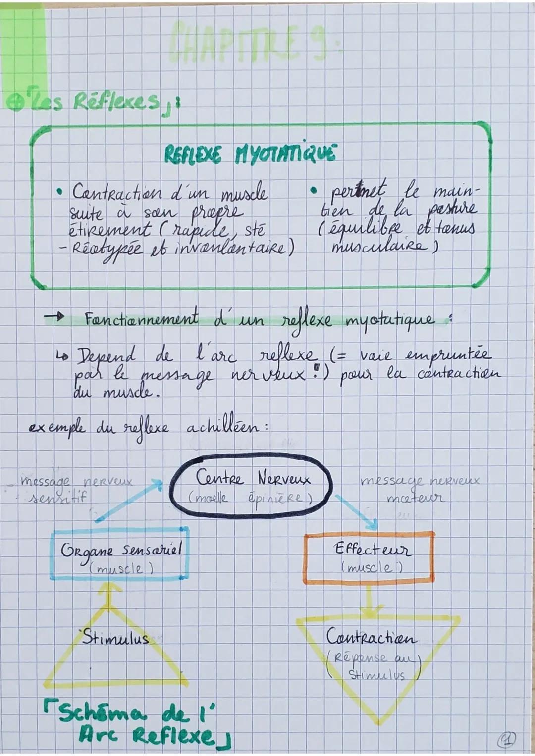 Les Reflexes,:
• Contraction d'un muscle
suite à son propre
étirement (rapide, sté
-Réotypée et invoulantaire)
REFLEXE MYOTATIQUE
→
Fonction