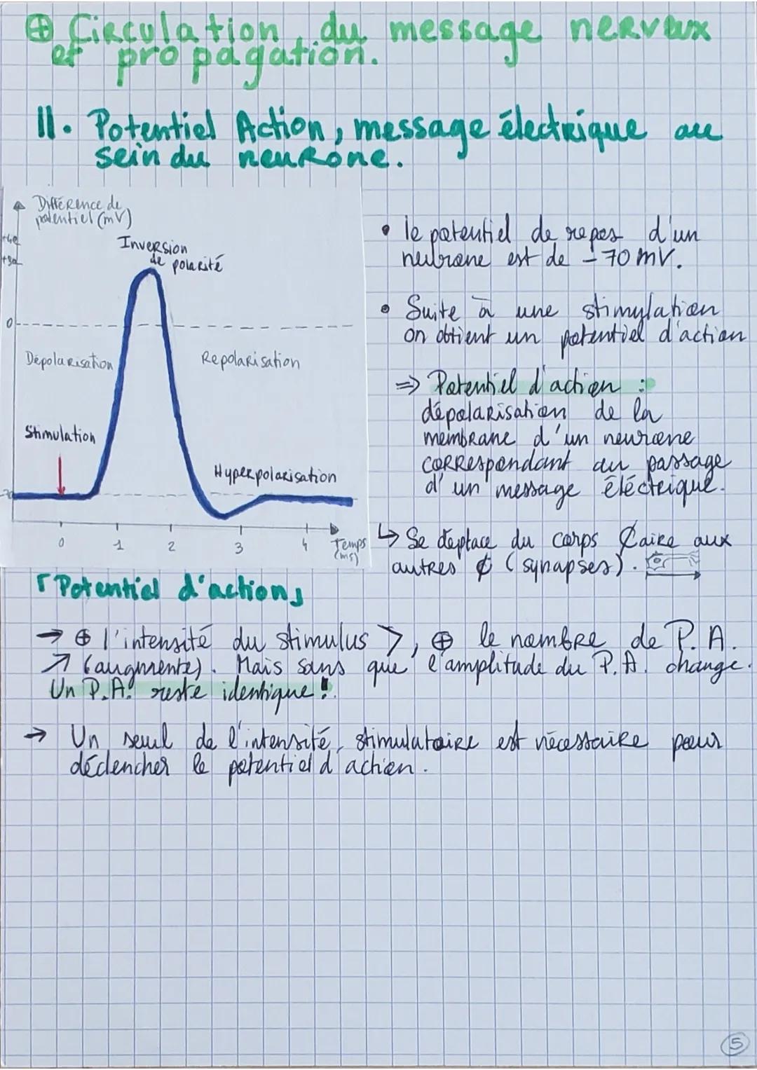 Les Reflexes,:
• Contraction d'un muscle
suite à son propre
étirement (rapide, sté
-Réotypée et invoulantaire)
REFLEXE MYOTATIQUE
→
Fonction