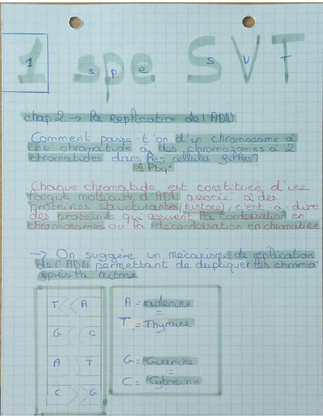 Chap 2 :La replication de l'ADN spé svt