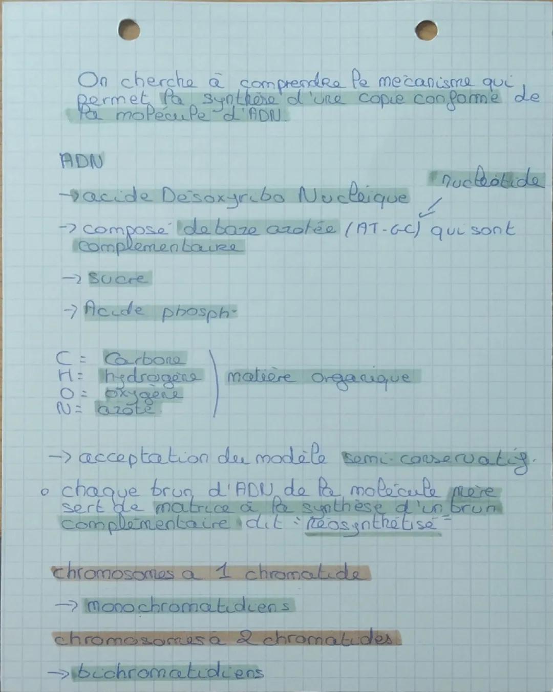 1
spe SVT
chap 2 Pe Replication de l'ADN
Comment passe-t'on d'un chromosome a
ene
ne chromatide à des chromosomes a 2
chromatides dans les c