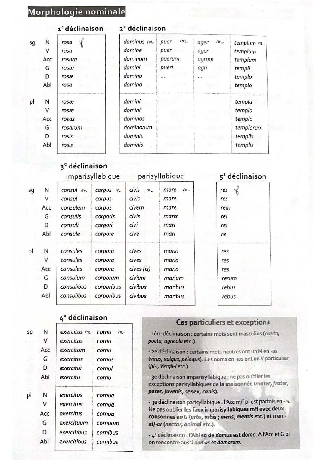 Latin : Déclinaisons des noms