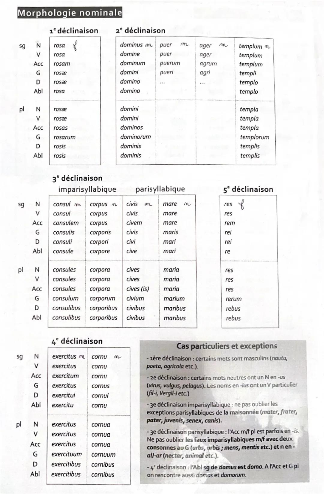 Morphologie nominale
1 déclinaison
2 déclinaison
5
sg
N
rosa
dominus m
puer
m
ager
m
templum m
V
rosa
domine
puer
ager
templum
Acc
rosam
dom