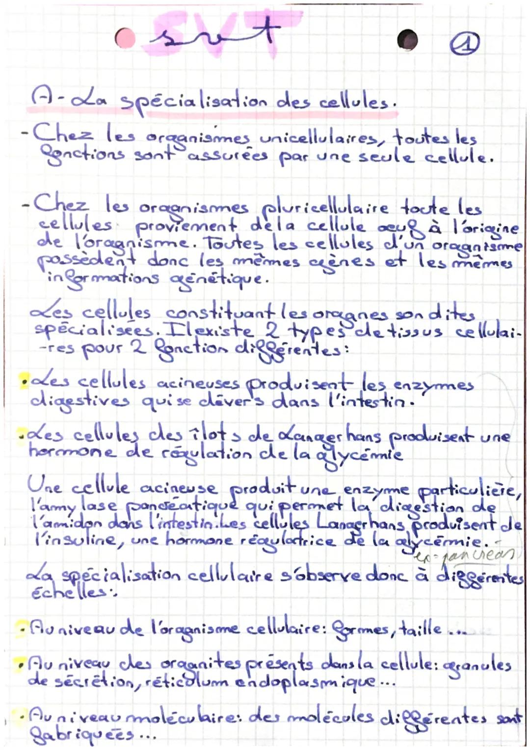 csot
A-La spécialisation des cellules.
-Chez les organismes unicellulaires, toutes les
Sonctions sont assurées par une seule cellule.
-Chez