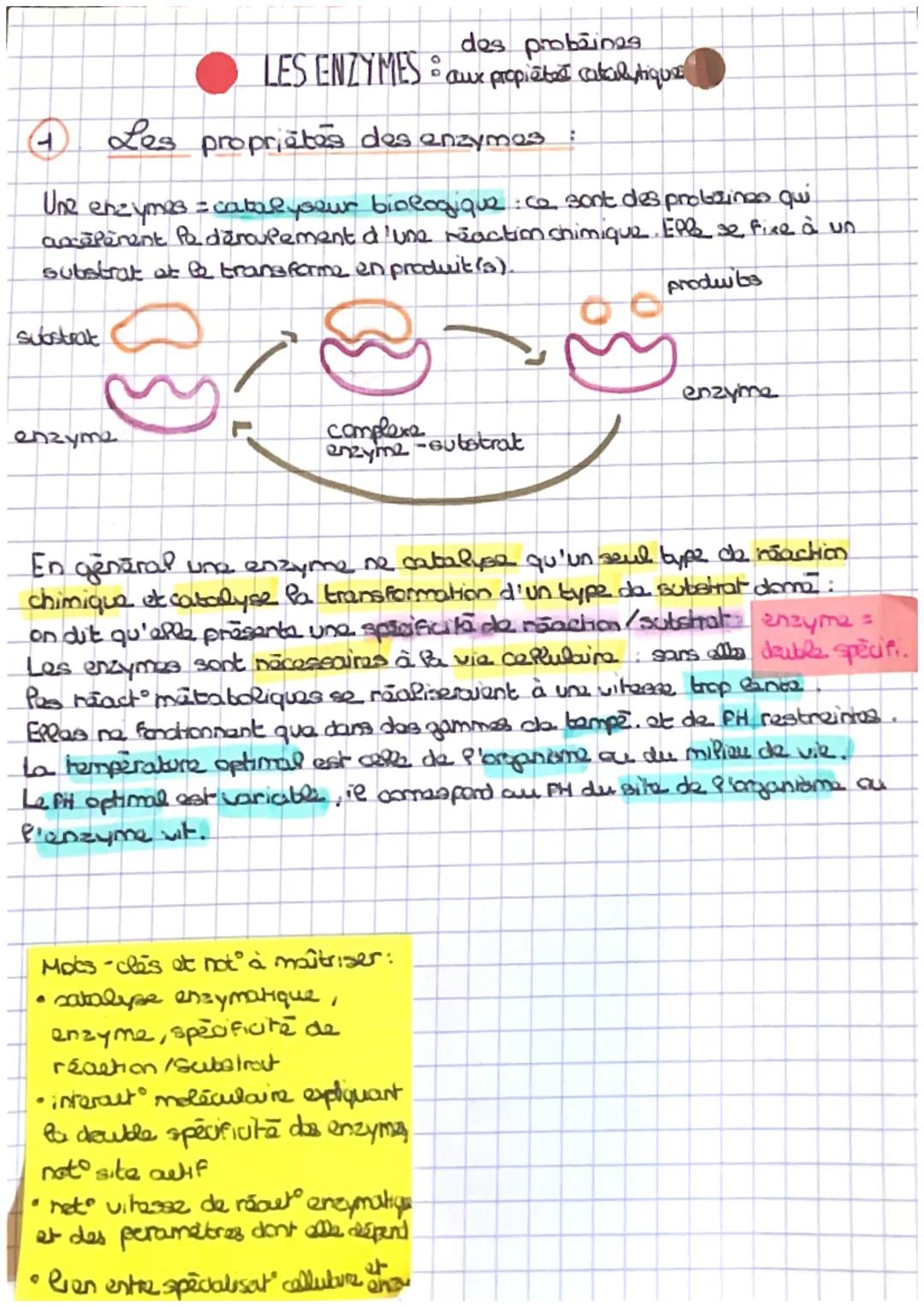 (1) Les proprietes des enzymes
Une
enzymes = catalyseur biologique : ce sont des probzines qui
accăperent Po daroupement d'une reaction chim