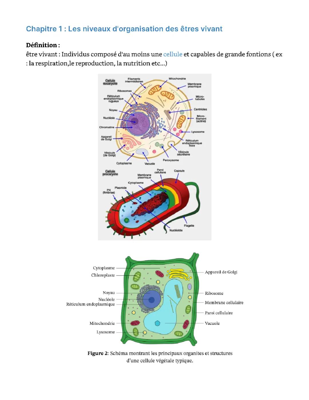 L'organisation du vivant