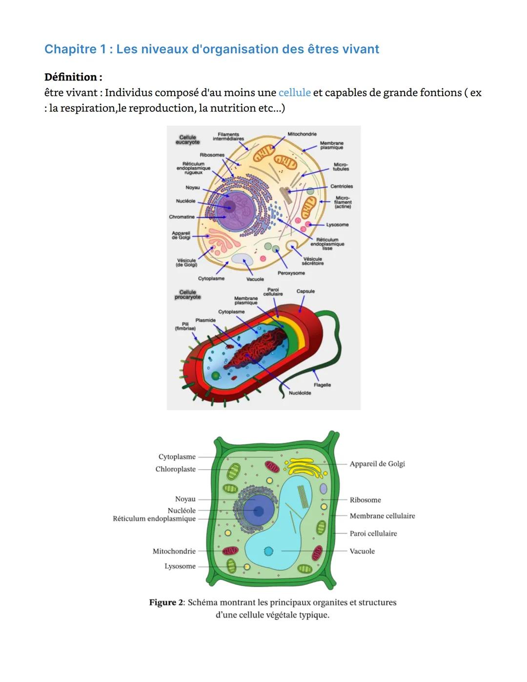 Chapitre 1 : Les niveaux d'organisation des êtres vivant
Définition:
être vivant : Individus composé d'au moins une cellule et capables de g