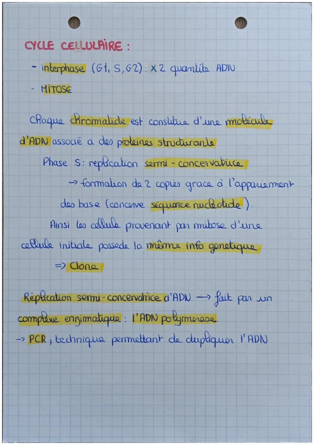 TRANSMISSION, EXPRESSION
ET VARIATION DU PATRIMOINE GENETİ
→
Chez l'homme cellule somatique - diploide (2n=46)
Les gamètes elles sont haploi