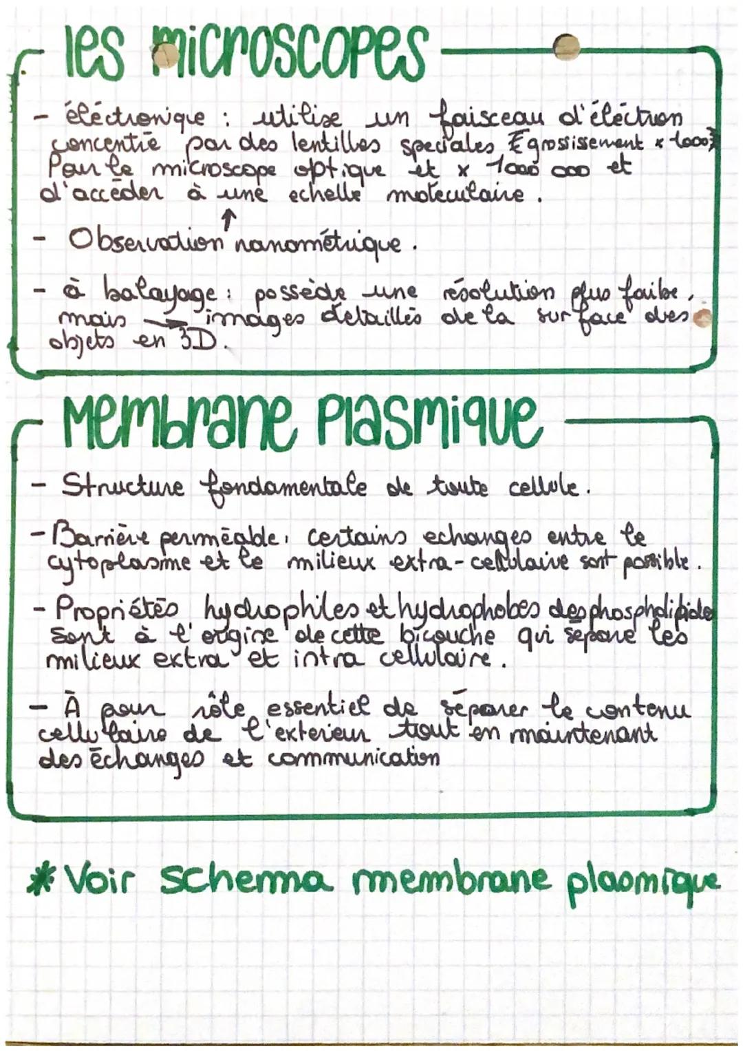 # les microscopes
- éléctronique: utilise un faisceau d'électron
concentre par des lentilles speciales Egrossissement -1000
Pour le microsc