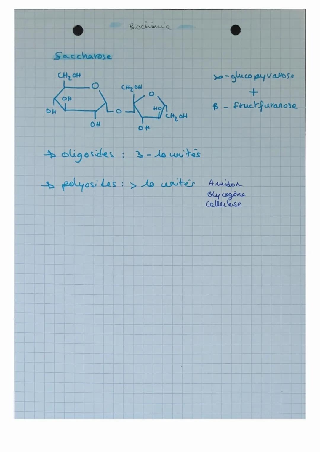 OSIDES polymieres
- Holosides formés uniquement d'oser
Hétélesides formes d'oses et de molécule Mon-
glucidique.
Les Holosides et diholoside