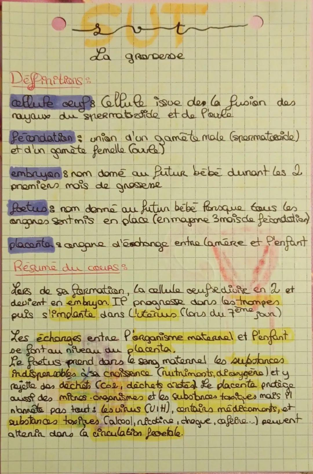 # Svt
La grossesse
Desfinitions
cellute œufs Cellule issue des la fusion des
nayaus du spermatozside et de Parle
fecondation: union d'un