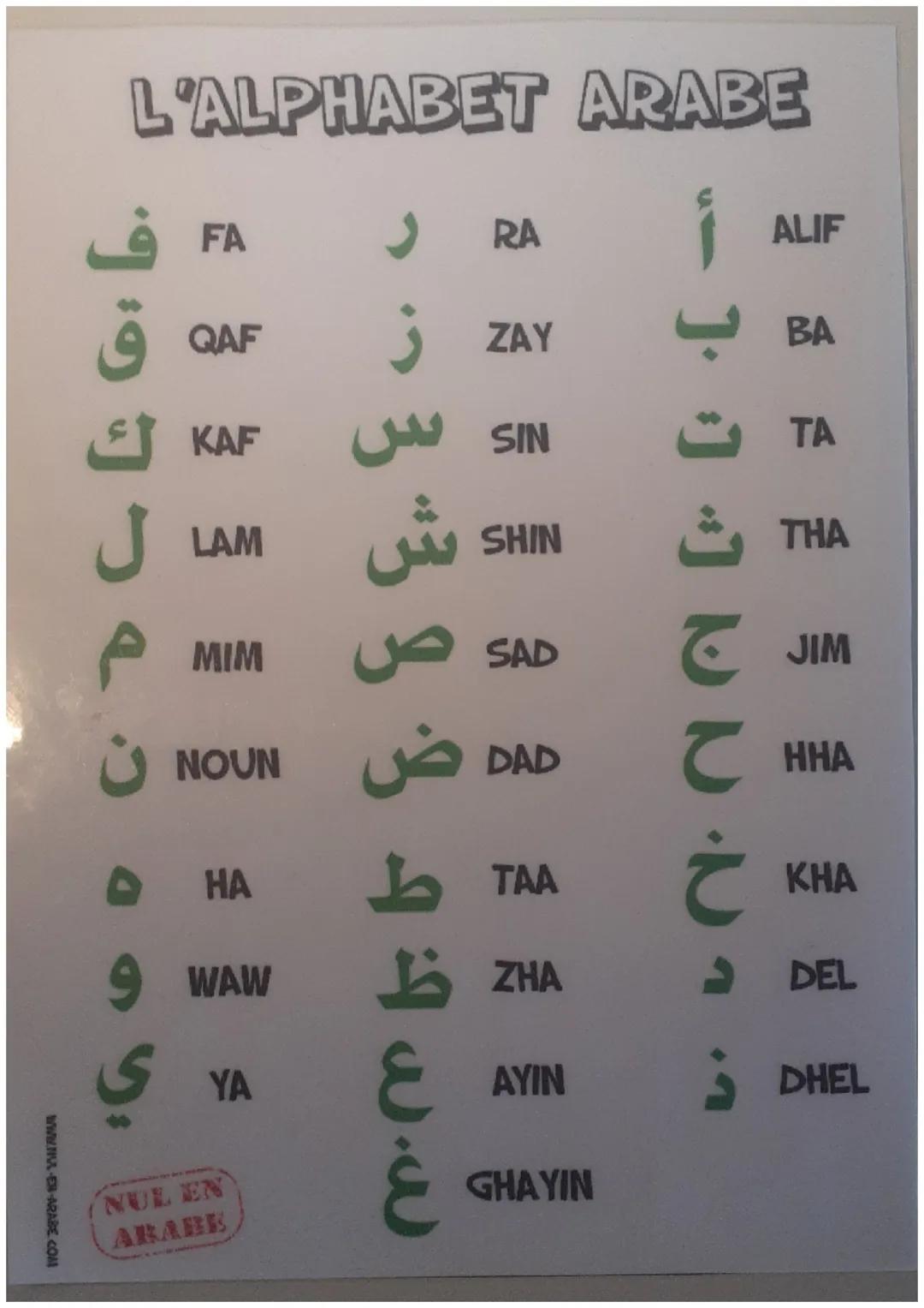 WWW.M-E-ARABE.COM
L'ALPHABET ARABE
IJRO
FA
QAF
KAF
LAM
MIM
U NOUN
HA
9 WAW
YA
NUL EN
ARABE
J RA
¬ 3 3 3 3 4 4 ww
jZAY
SIN س
SHIN
SAD
DAD
TAA