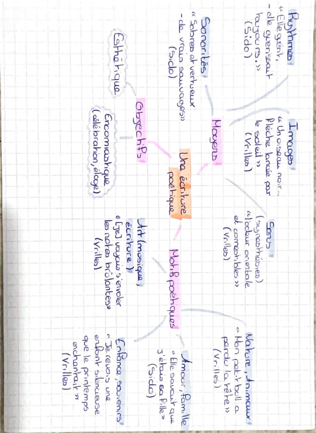 La famille de Colette
Le premier mari
Jules Robineau - Duclos
(1814-1865)
dit ic Le Sauvage»
Sidonie Landoy
(1835-1912)
dite "Sido»
Sido,