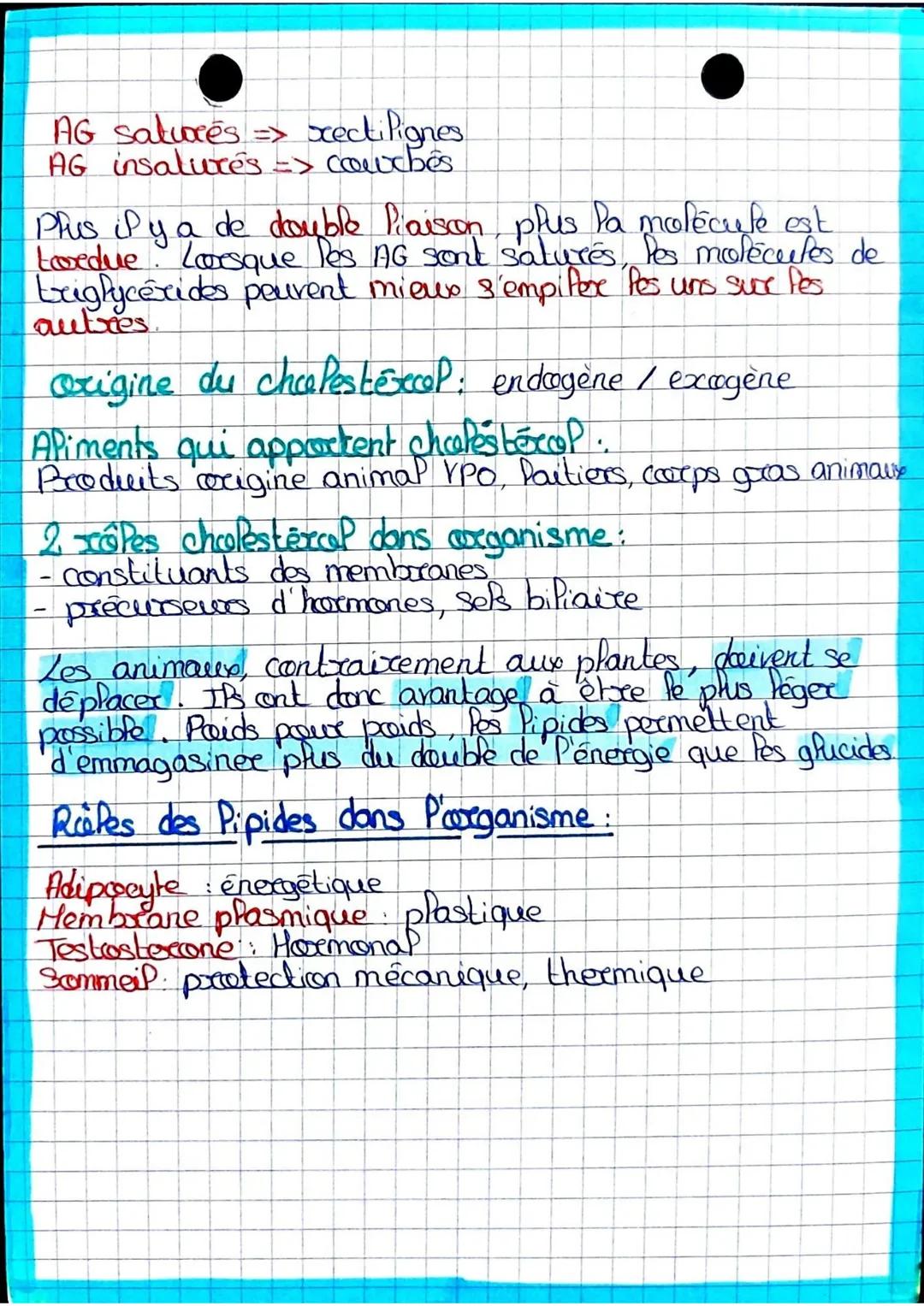 ESAE
- lipides chg
Lipides
AG Saturcés AG Monoins. AG poluinsatuoces
Stable moyen pas stable
friture bature plate pas cuisson
Huile palme Hu