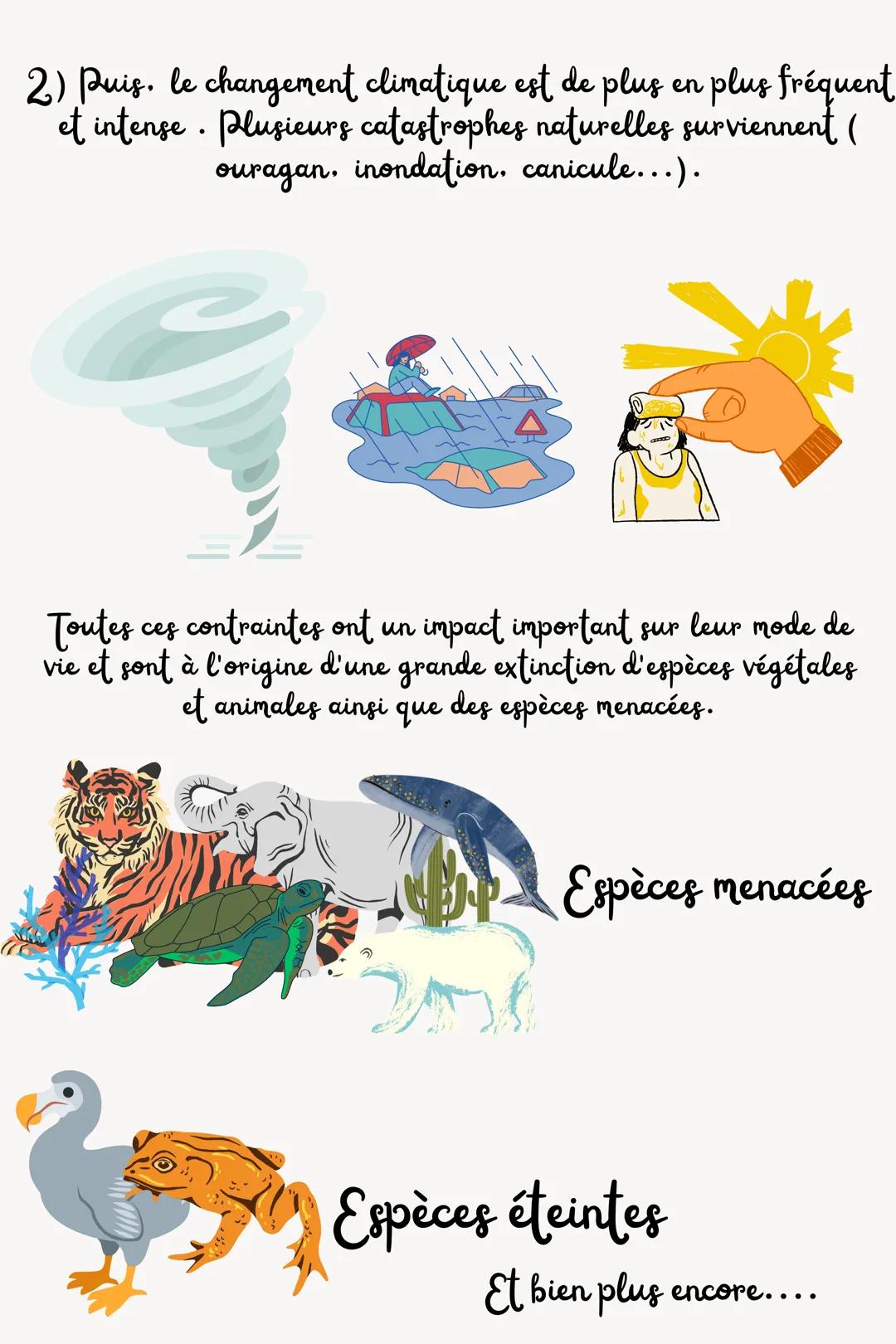 Le
RéCHAUFFEMENT
CLIMATIQUE SOMMAIRE
1) Introduction
A) QU'EST CE QUI PROVOQUE LE RÉCHAUFFEMENT CLIMATIQUE ?
2) Ses conséquences
A) LA FON