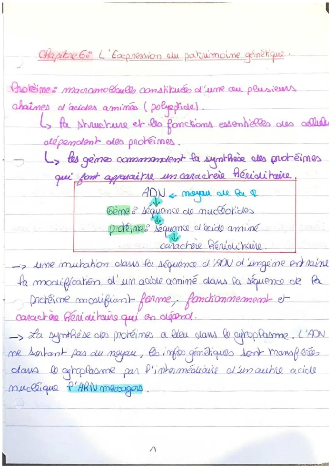 l’expression du patrimoine génétique