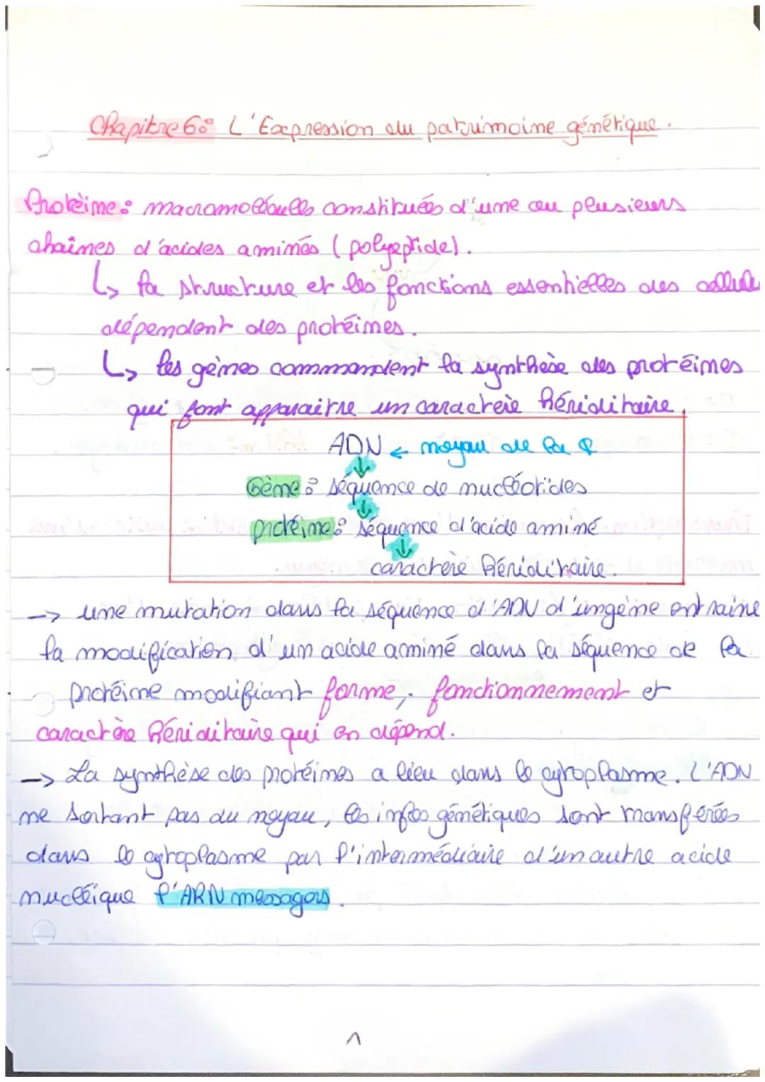 Chapitre 60° L'Expression ele patrimoine génétique.
Proteine : macromoléculls constituées d'une ou plusieurs
chaînes d'acides aminés (polysp